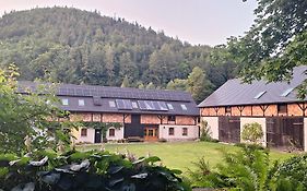 Jesionówka Apartamenty